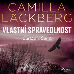 Cover Vlastní spravedlnost (MP3-Download)