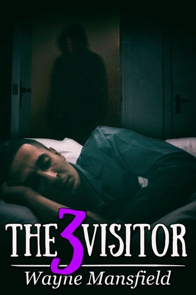 Visitor 3 (eBook, ePUB) Visitor 3 (eBook, ePUB)