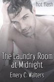 Laundry Room at Midnight (eBook, ePUB) Laundry Room at Midnight (eBook, ePUB)