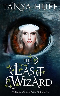 Cover Last Wizard (eBook, ePUB)