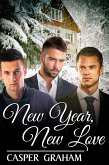 New Year, New Love (eBook, ePUB)