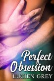 Perfect Obsession (eBook, ePUB) Perfect Obsession (eBook, ePUB)