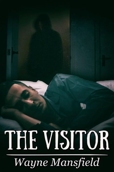 Visitor (eBook, ePUB)