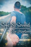 Safe and Sound (eBook, ePUB) Safe and Sound (eBook, ePUB)