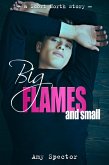 Big Flames and Small (eBook, ePUB) Big Flames and Small (eBook, ePUB)