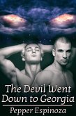 Devil Went Down to Georgia (eBook, ePUB)