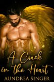 Crack in the Heart (eBook, ePUB)