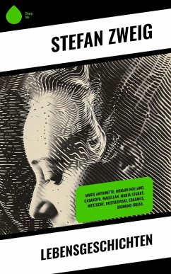 Cover Lebensgeschichten (eBook, ePUB)