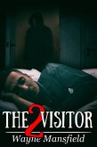 Visitor 2 (eBook, ePUB)