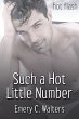 Such a Hot Little Number (eBook, ePUB) - Bild 1