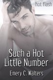 Such a Hot Little Number (eBook, ePUB)