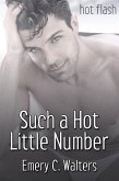 Such a Hot Little Number (eBook, ePUB) Such a Hot Little Number (eBook, ePUB)
