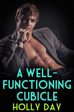 Well-Functioning Cubicle (eBook, ePUB) - Day, Holly