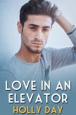 Love in an Elevator (eBook, ePUB)