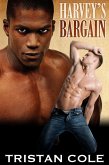 Harvey's Bargain (eBook, ePUB) Harvey's Bargain (eBook, ePUB)