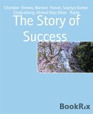 The Story of Success (eBook, ePUB)
