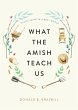 What the Amish Teach Us (eBook, ePUB) - Bild 1