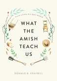 What the Amish Teach Us (eBook, ePUB)
