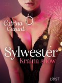 Sylwester: Kraina snów – opowiadanie erotyczne BDSM (eBook, ePUB)