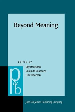 Beyond Meaning (eBook, ePUB)