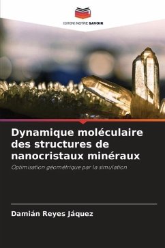 Dynamique moléculaire des structures de nanocristaux minéraux - Reyes Jáquez, Damián