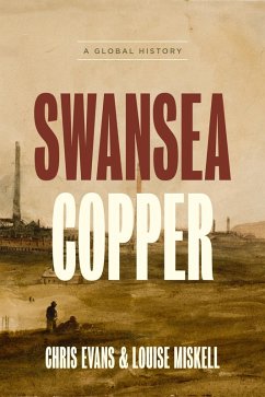 Swansea Copper (eBook, ePUB) - Evans, Chris