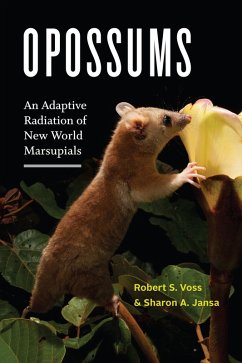 Opossums (eBook, ePUB) - Voss, Robert S.