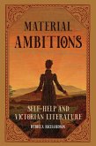 Material Ambitions (eBook, ePUB)