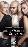 Wilde Nächte in der Großstadt   Erotische Geschichte (eBook, PDF)
