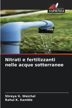 Nitrati e fertilizzanti nelle acque sotterranee - Waichal, Shreya G.;Kamble, Rahul K.