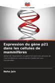 Expression du gène p21 dans les cellules de mammifères