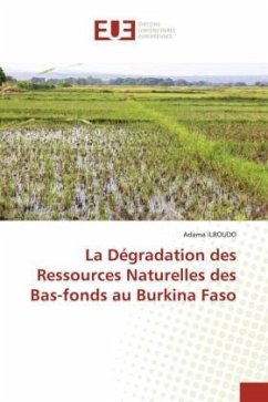 La Dégradation des Ressources Naturelles des Bas-fonds au Burkina Faso - ILBOUDO, Adama