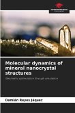 Molecular dynamics of mineral nanocrystal structures