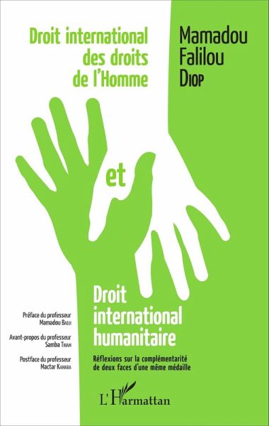 Droit international des droits de l'homme et droit international humanitaire (eBook, PDF)