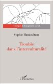 Trouble dans l'interculturalité (eBook, PDF)