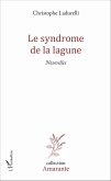 Le syndrome de la lagune (eBook, PDF)