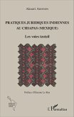 Pratiques juridiques indiennes au Chiapas (Mexique) (eBook, PDF)