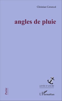 Cover Angles de pluie (eBook, PDF)