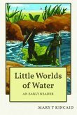 Little Worlds of Water (eBook, ePUB)