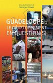 Guadeloupe : le développement en question(s) (eBook, PDF)