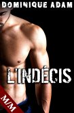 L'Indécis (eBook, ePUB)