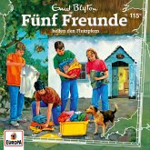 Folge 115: Fünf Freunde helfen den Flutopfern (MP3-Download)