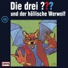 Folge 43: Die drei ??? und der... - Bild 1