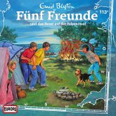 Folge 113: Fünf Freunde und das Feuer auf der Felseninsel (MP3-Download)