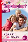 Kaminkehrer im Glück (eBook, ePUB)