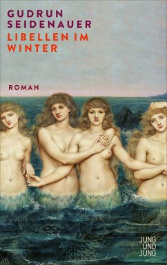 Cover Libellen im Winter