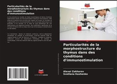 Particularités de la morphostructure du thymus dans des conditions d'immunostimulation - Zakharov, Alexei;Kashenko, Svetlana