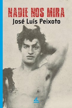 Nadie nos mira - Peixoto, José Luis