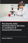 Peculiarità della morfostruttura del timo in condizioni di immunostimolazione