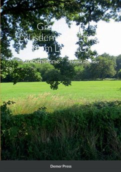 Groeten uit Leusden / Greetings from Leusden - Rouweler, Hannie